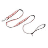 Ladybug Walk Set – Collar & Leash