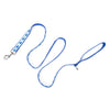 Squirt Walk Set – Collar & Leash