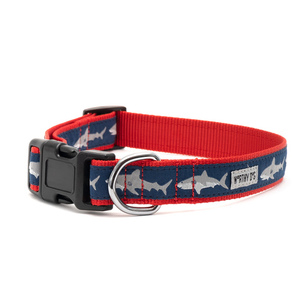 Jaws Collar