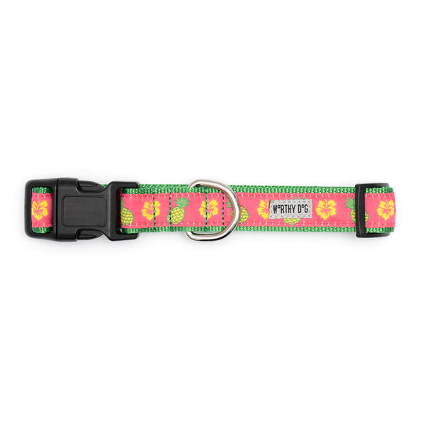 Pineapples Walk Set – Collar & Leash