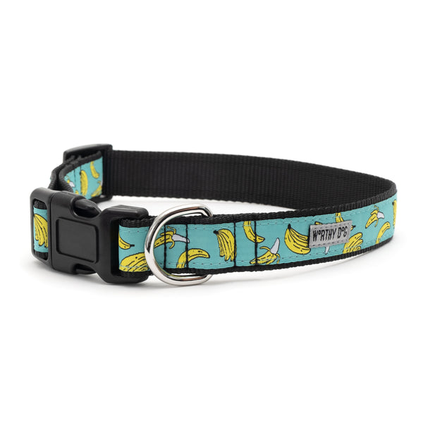Go Bananas Collar