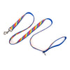Rainbow Lead