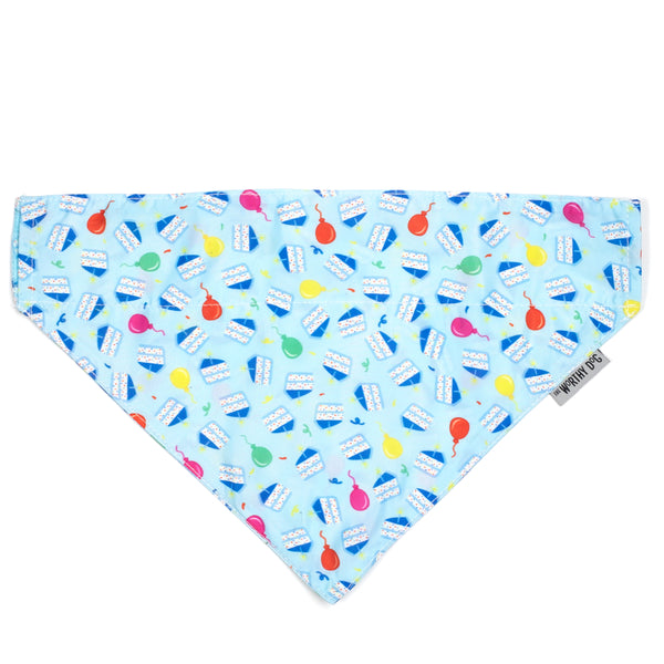 Birthday Boy Bandana