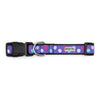 Gumball Purple Walk Set – Collar & Leash