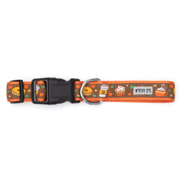 Pumpkin Spice Walk Set – Collar & Leash