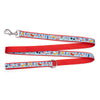 Independence Day Walk Set – Collar & Leash
