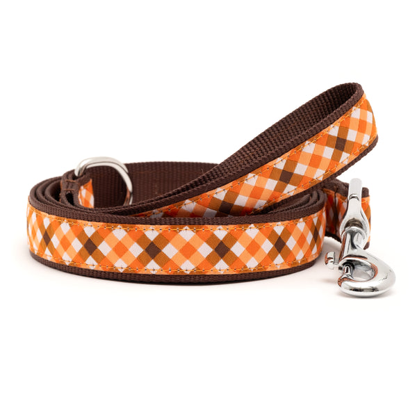 Fall Check Lead