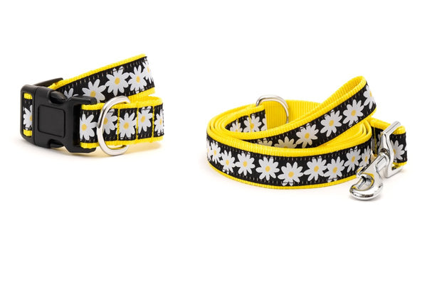 Lazy Daisy Walk Set – Collar & Leash