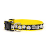 Lazy Daisy Walk Set – Collar & Leash