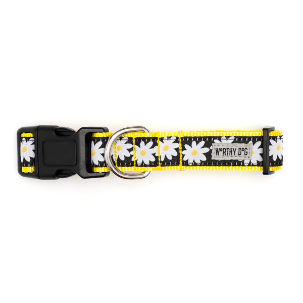 Lazy Daisy Collar