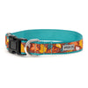 Falling Leaves Walk Set – Collar & Leash