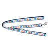 Fishy Walk Set – Collar & Leash
