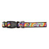 Kaleidoscope Collar