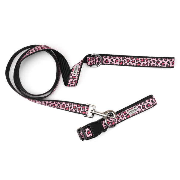 Leopard Collar