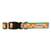 Peachy Keen Walk Set – Collar & Leash