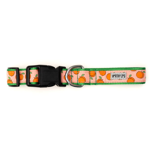 Peachy Keen Collar