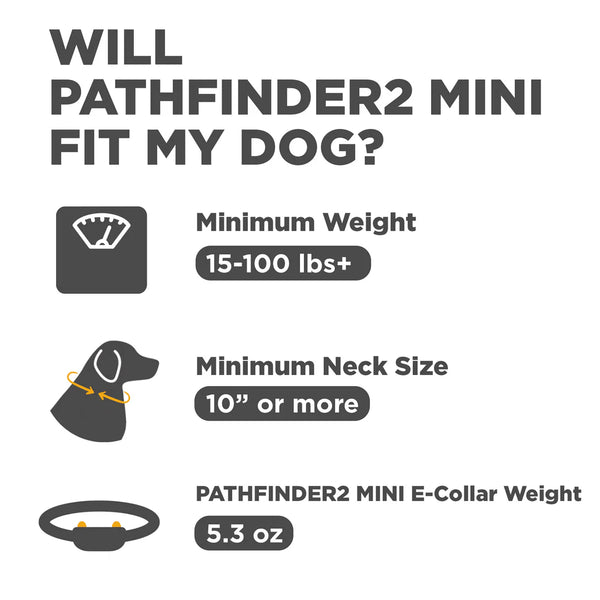 Dogtra PATHFINDER2 MINI GPS Dog Tracking & Training Collar | 4-Mile Range | Up to 21 Dogs