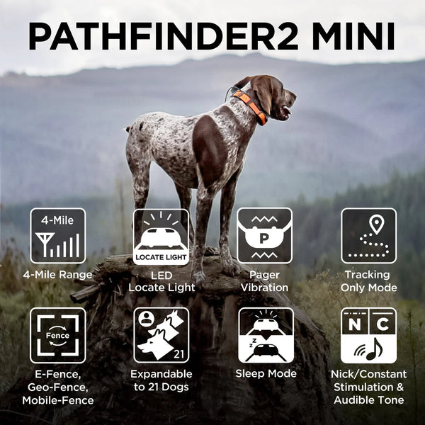 Dogtra PATHFINDER2 MINI GPS Dog Tracking & Training Collar | 4-Mile Range | Up to 21 Dogs