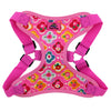 Adjustable Choke-Free Step-In Dog Harness – Easy Snap Fit