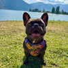 Adjustable Choke-Free Step-In Dog Harness – Easy Snap Fit
