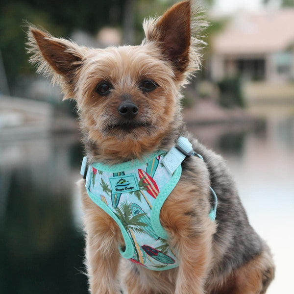 Adjustable Choke-Free Step-In Dog Harness – Easy Snap Fit