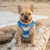 Adjustable Choke-Free Step-In Dog Harness – Easy Snap Fit