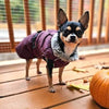 Alpine Extreme Weather Puffer Coat - Burgundy