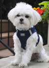 Choke-Free Step-In Dog Harness – Breathable Mesh & Secure Fit (Solid)