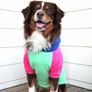 Color-Block Hoodie - Pink on Mint