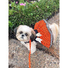 Halloween Dog Harness Dress – Cute & Choke-Free Walking Fit