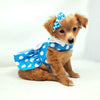 Dog Harness Dress & Leash Set – Blue Polka Dot