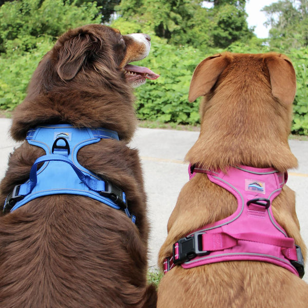 No-Pull Dog Harness – Dual Clip Control (Durable Canvas)