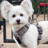 No-Pull Dog Harness – Dual Clip Control (Durable Canvas)