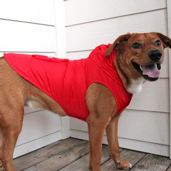 Packable Raincoat - Red