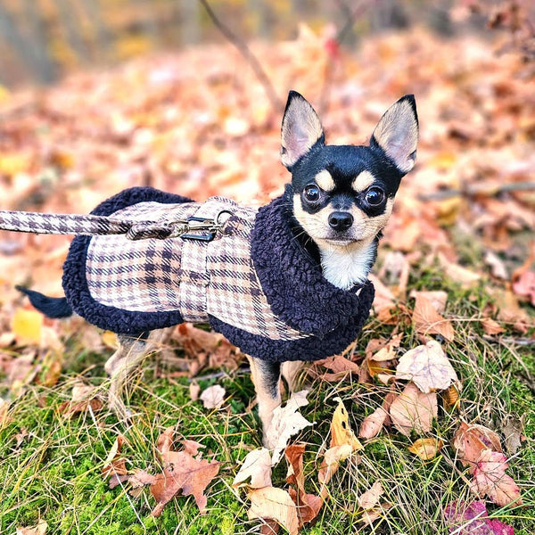 Sherpa-Lined Dog Harness Coat & Leash Set – Multiple Colors