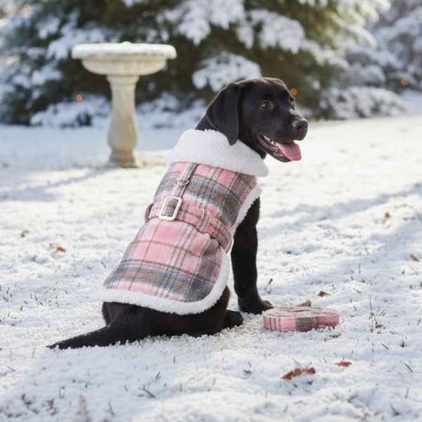 Sherpa-Lined Dog Harness Coat & Leash Set – Multiple Colors