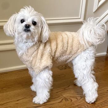Soft Pullover - Cream