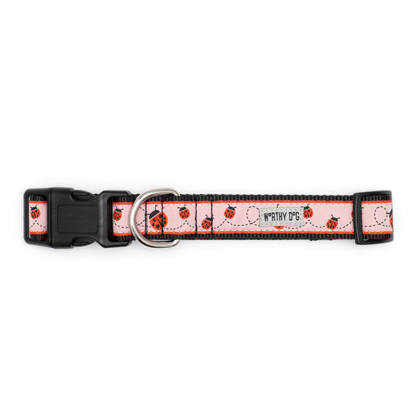 Ladybug Walk Set – Collar & Leash