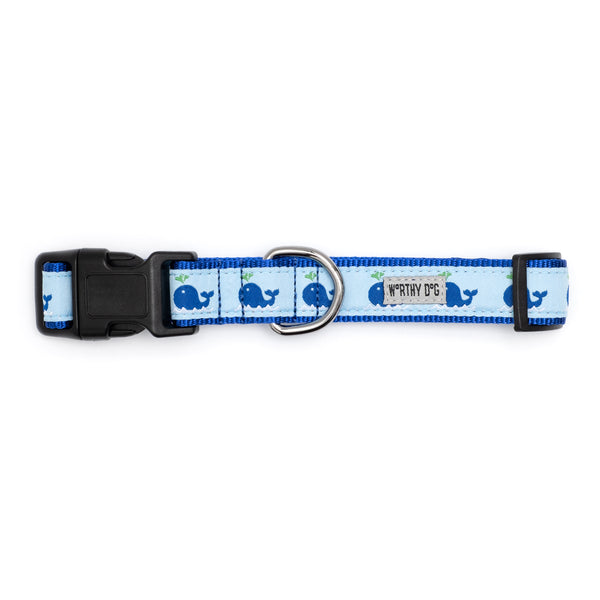 Squirt Walk Set – Collar & Leash