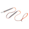 Foxy Lead
