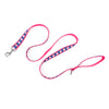Wilbur Pig Walk Set – Collar & Leash