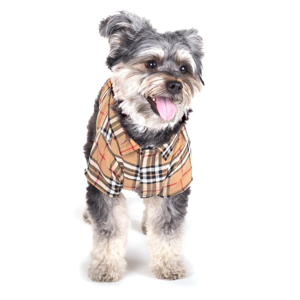 Tan Plaid Shirt