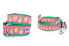Pineapples Walk Set – Collar & Leash