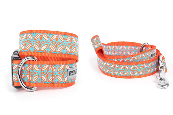 Stamp Print Walk Set – Collar & Leash