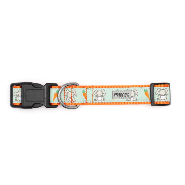 Bunnies Walk Set – Collar & Leash