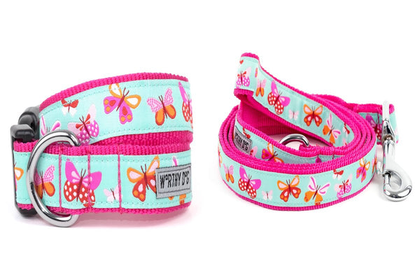 Butterflies Walk Set – Collar & Leash