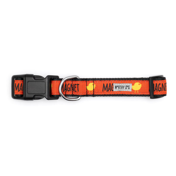 Chick Magnet Walk Set – Collar & Leash
