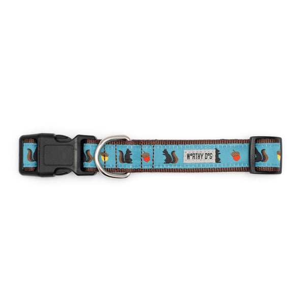 Squirrelly Walk Set – Collar & Leash