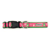 Ribbit Collar