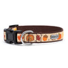 Fallelujah Walk Set – Collar & Leash